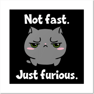 Not Fast Just Furious Cat Posters and Art
